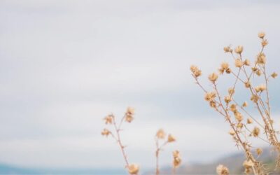 What the Bible Says about Conscience